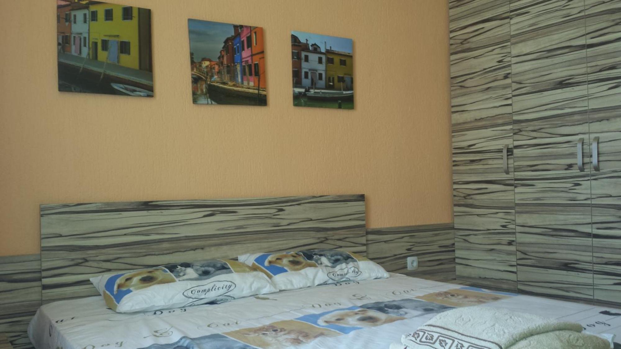 Yana Apartments サンダンスキ 部屋 写真